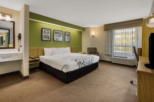 Standard Room, 1 King Bed, Non Smoking | In-room safe, desk, laptop workspace, blackout drapes