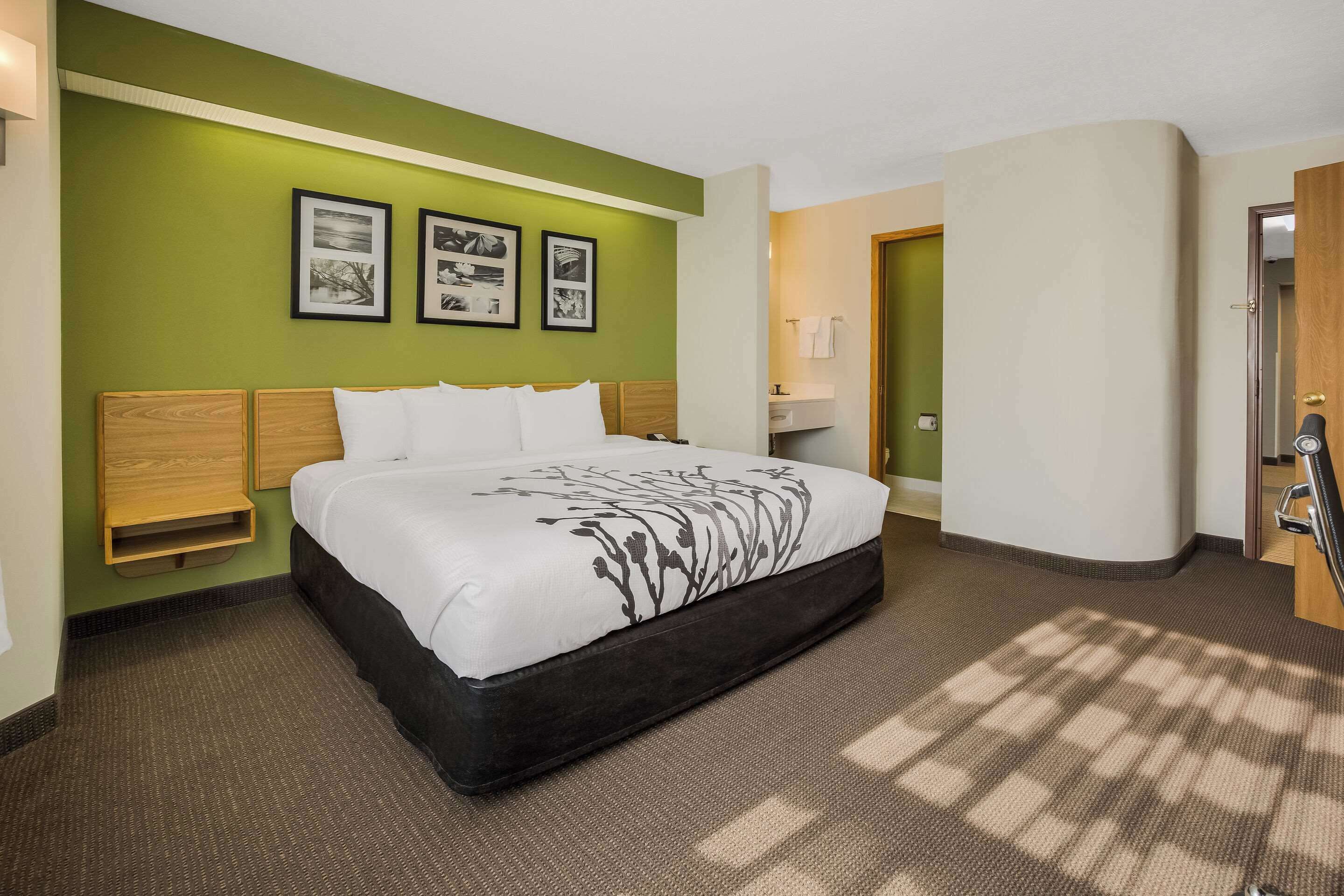 Quarto de hotel com cama grande, paredes verdes e quadros nas paredes.