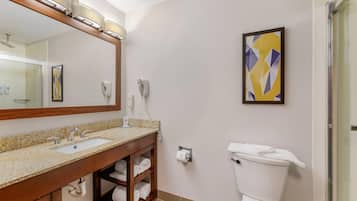 Un bany amb un lavabo de fusta, dues aixelles, un vàter, una dutxa i una obra d'art abstracta emmarcada a la paret.