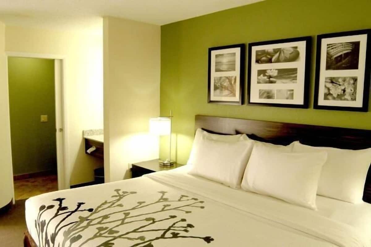 A hotel room with a bed, a nightstand, a lamp, and a wall with framed pictures.
