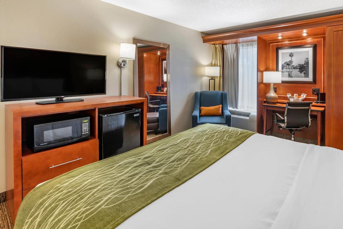 Room, 1 Queen Bed, Accessible, Non Smoking | Hypo-allergenic bedding, desk, iron/ironing board