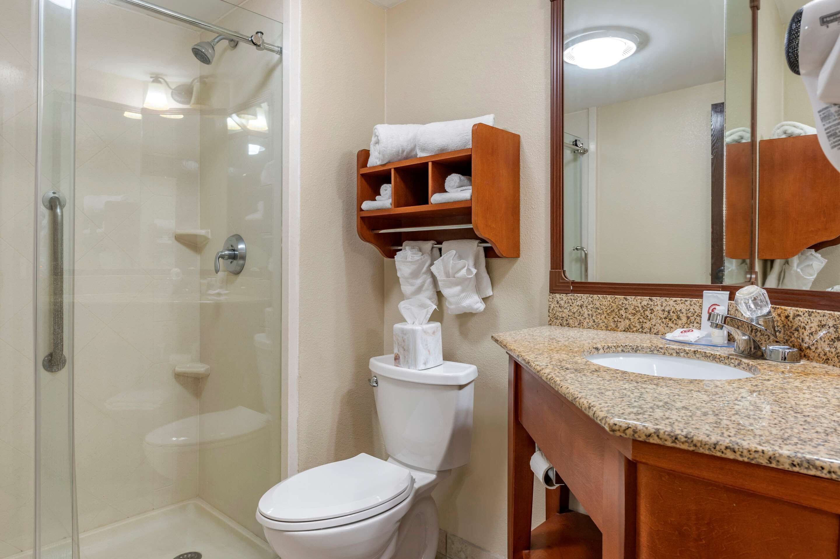 standard room, 1 king bed, non smoking | bathroom | combined shower/bathtub, jetted bath, free toiletries, hair dryer