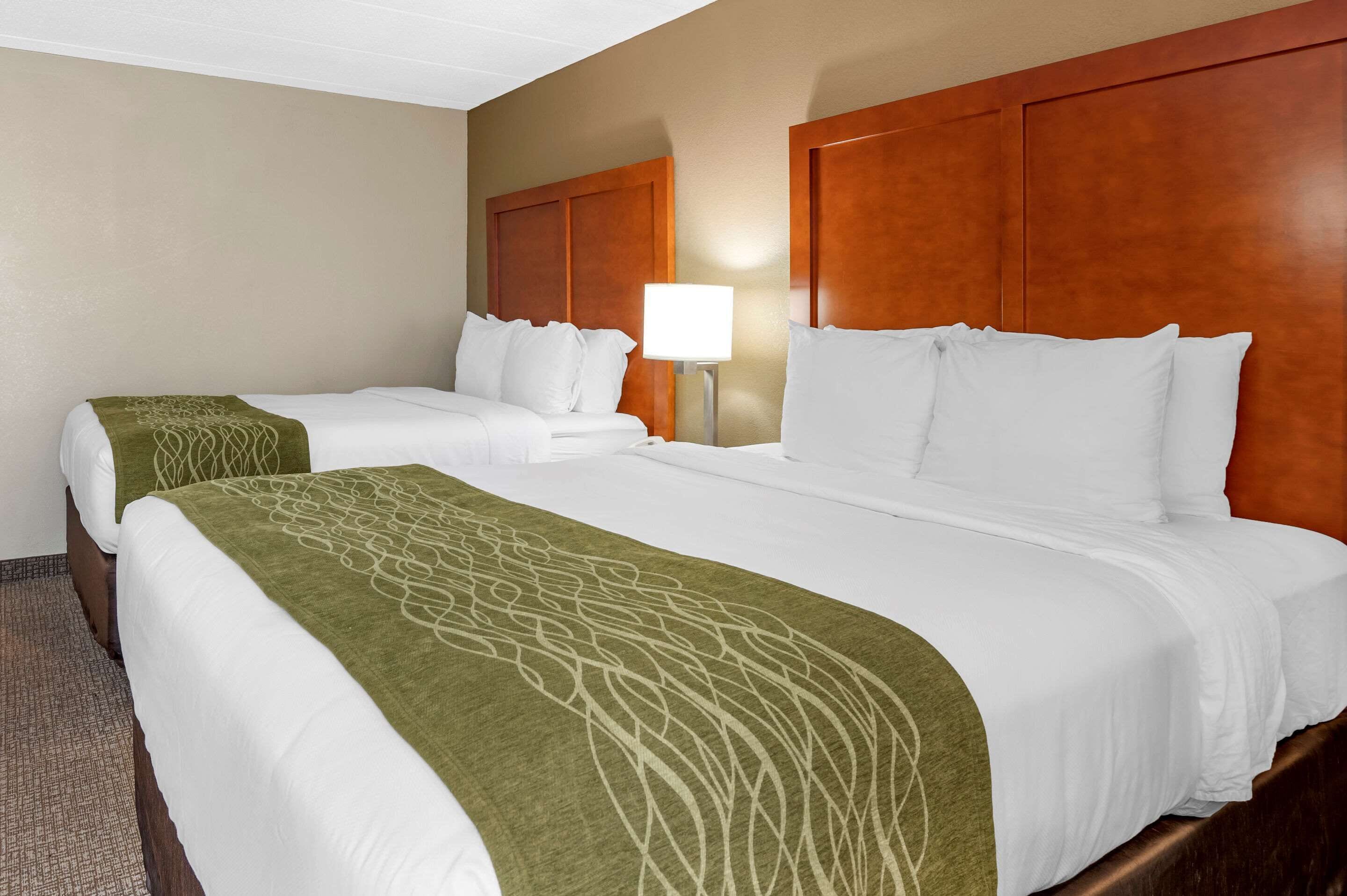 room, 2 queen beds, non smoking | hypo-allergenic bedding, desk, iron/ironing board, free cots/infant beds