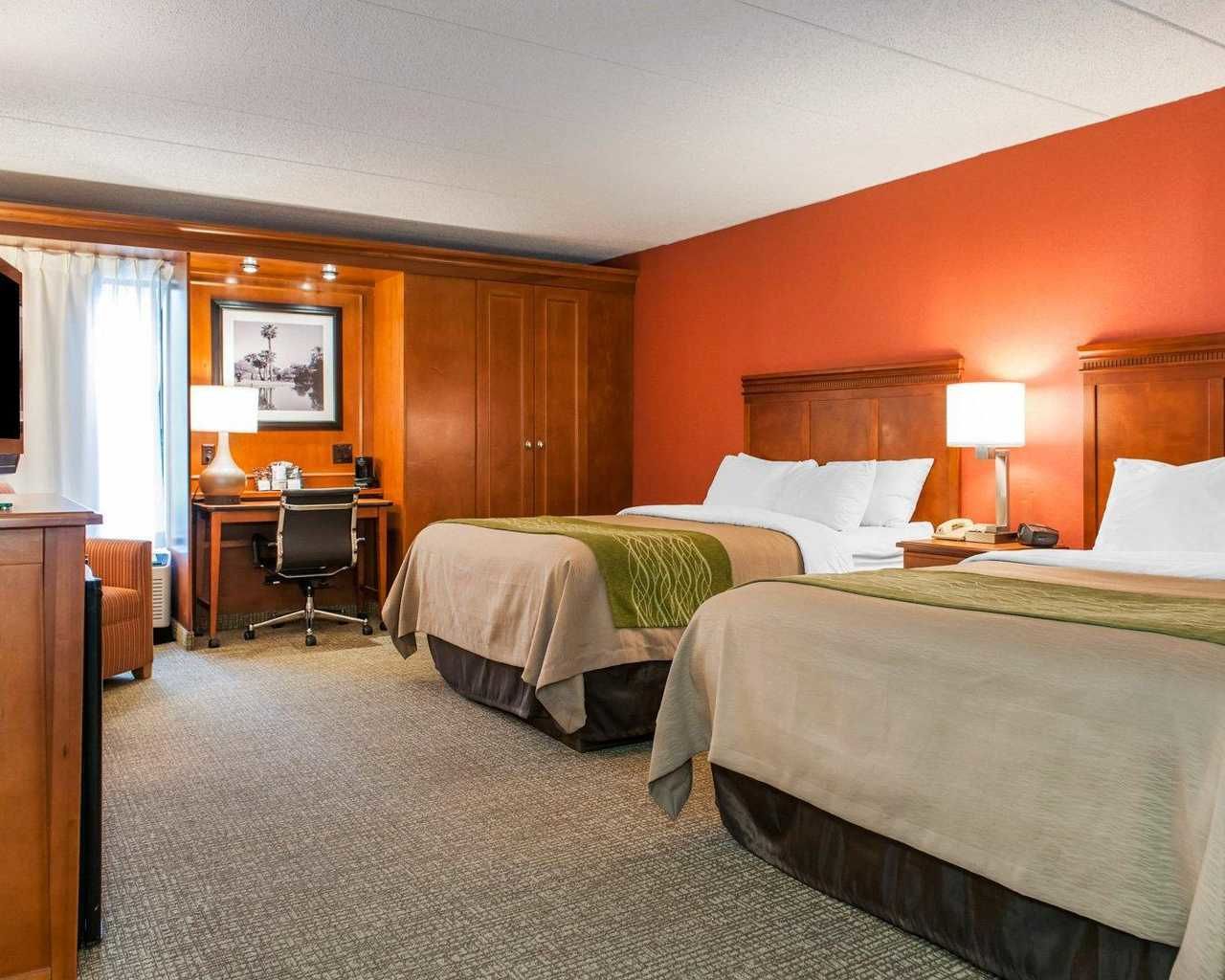 hypo-allergenic bedding, desk, iron/ironing board, free cots/infant beds