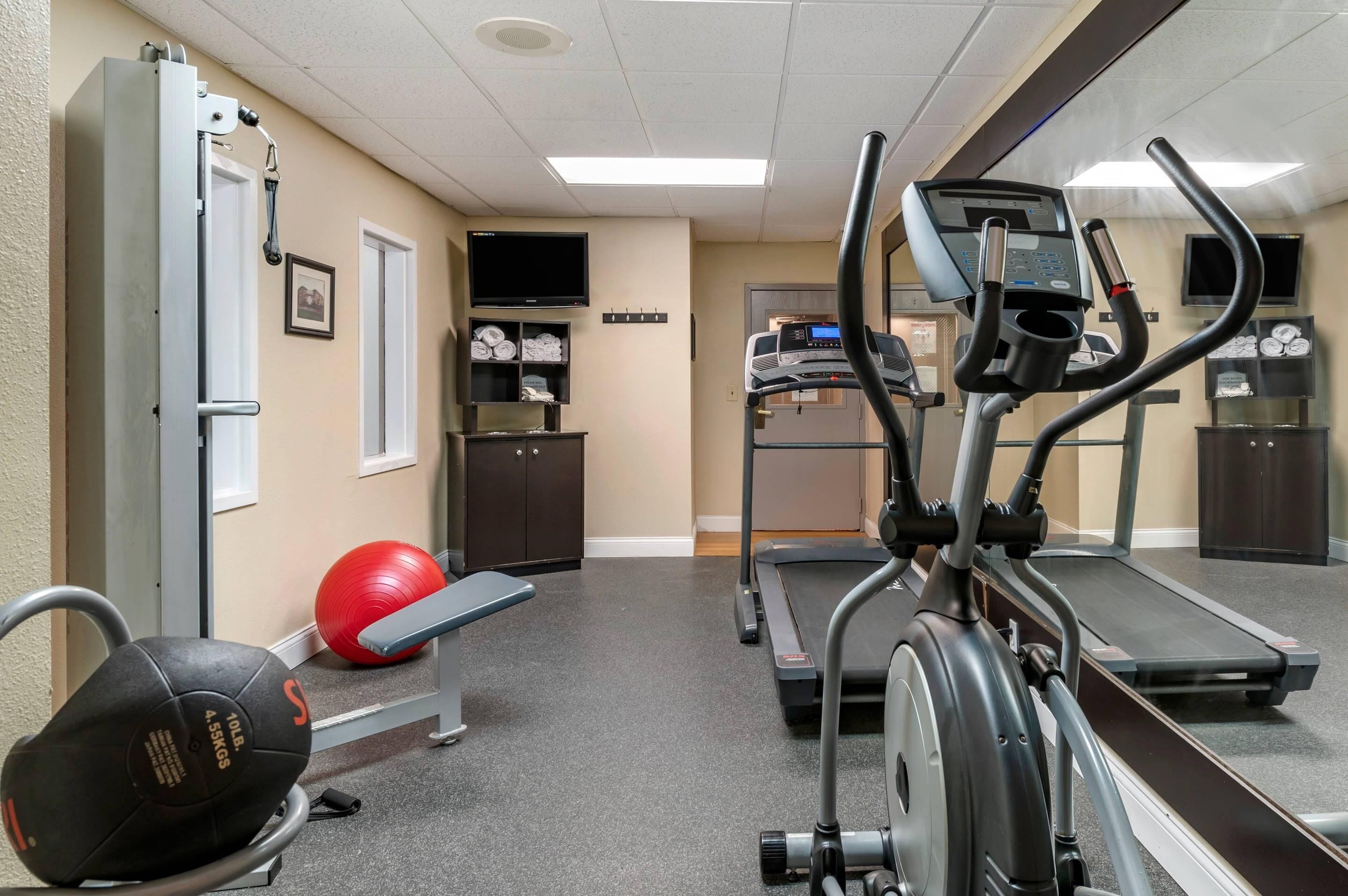 A gym with treadmills, a stationary bike, a rowing machine, a bench, and a medicine ball.