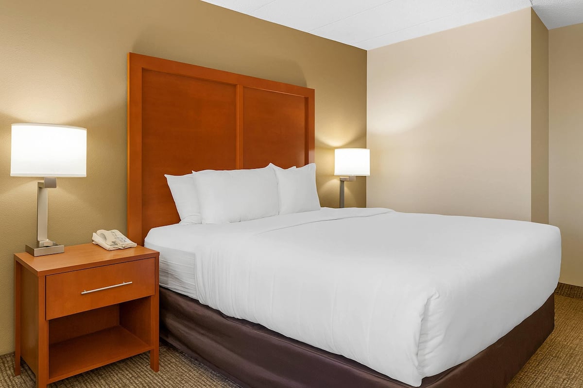 Room, 1 Queen Bed, Accessible, Non Smoking | Hypo-allergenic bedding, desk, iron/ironing board