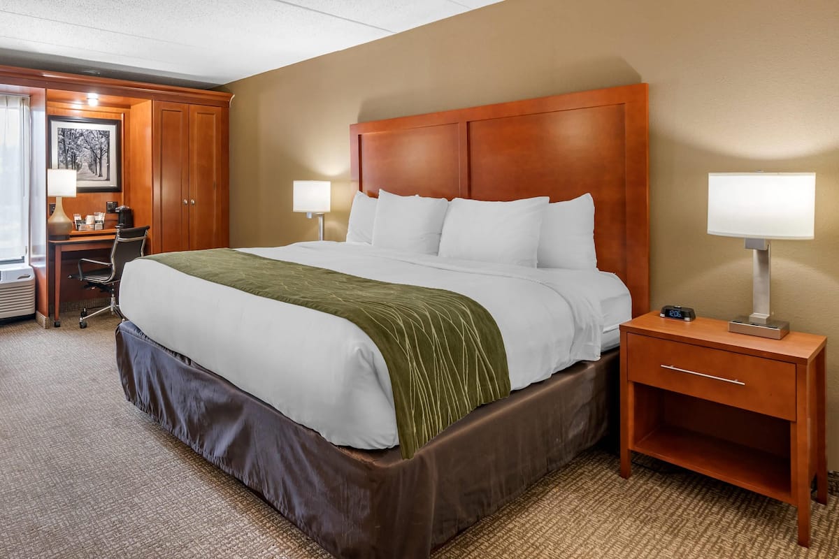 Standard Room, 1 King Bed, Non Smoking