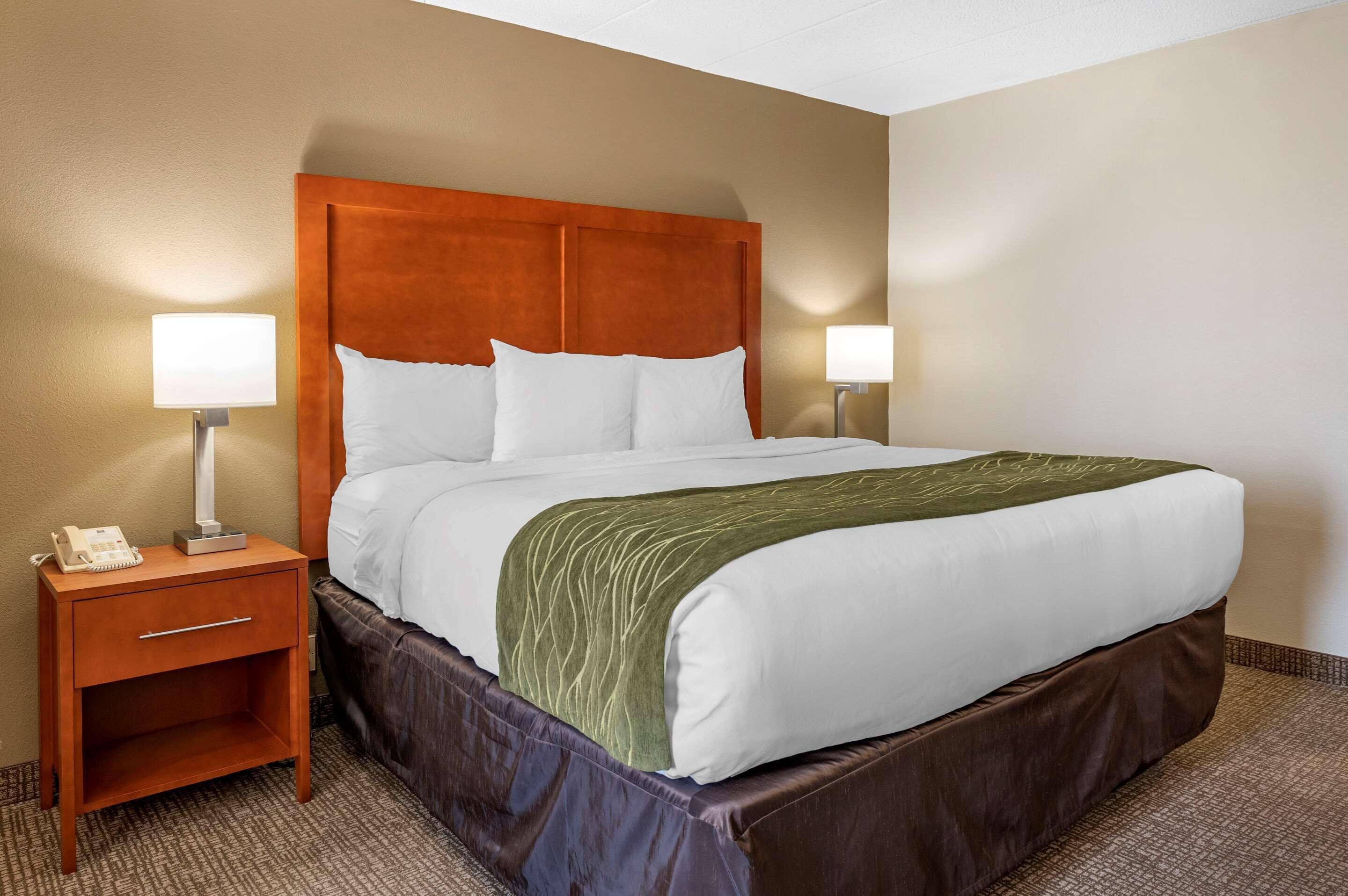 hypo-allergenic bedding, desk, iron/ironing board, free cots/infant beds