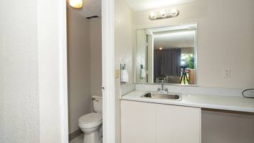 A bathroom with a toilet, a sink, and a mirror.