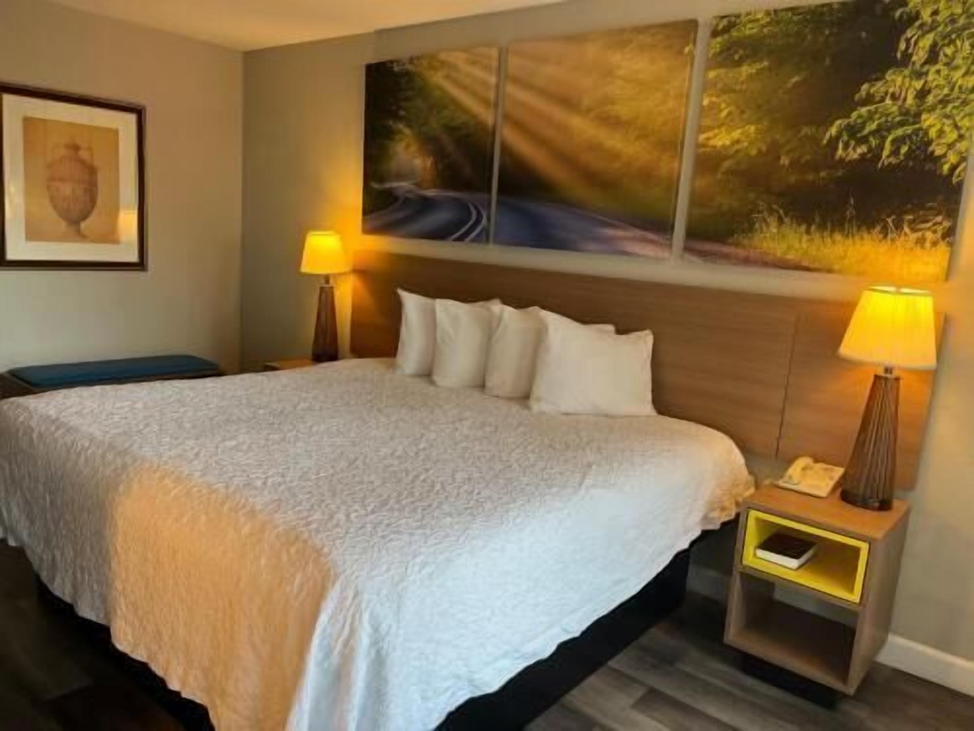 Desk, blackout drapes, iron/ironing board, free WiFi