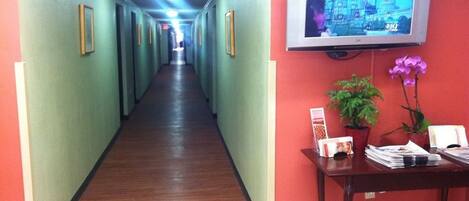 A hotel hallway with green walls, wooden flooring, a TV mounted on the wall, and a small table with a plant and magazines.