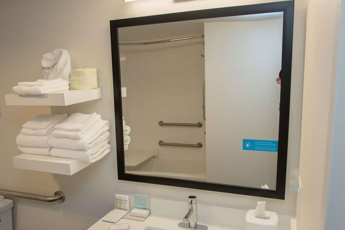 Bathroom | Combined shower/tub, free toiletries, hair dryer, towels