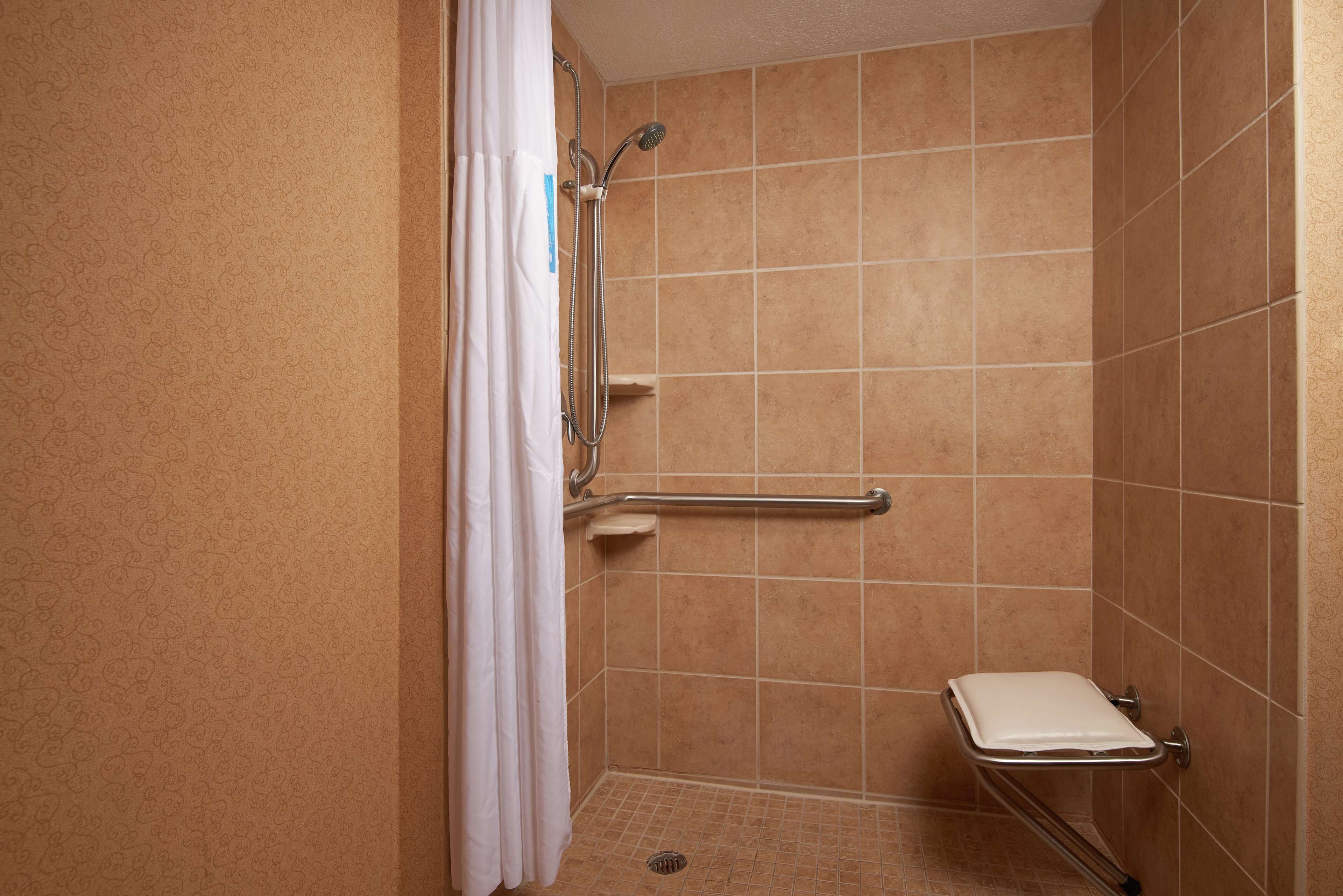 room, accessible, non smoking | bathroom shower