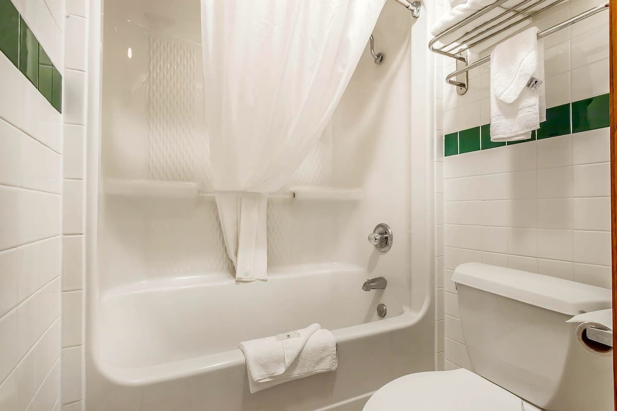 Quarto standard, 1 cama King, para não fumantes | Banheiro | Produtos de toalete grátis, secador de cabelo, toalhas de banho