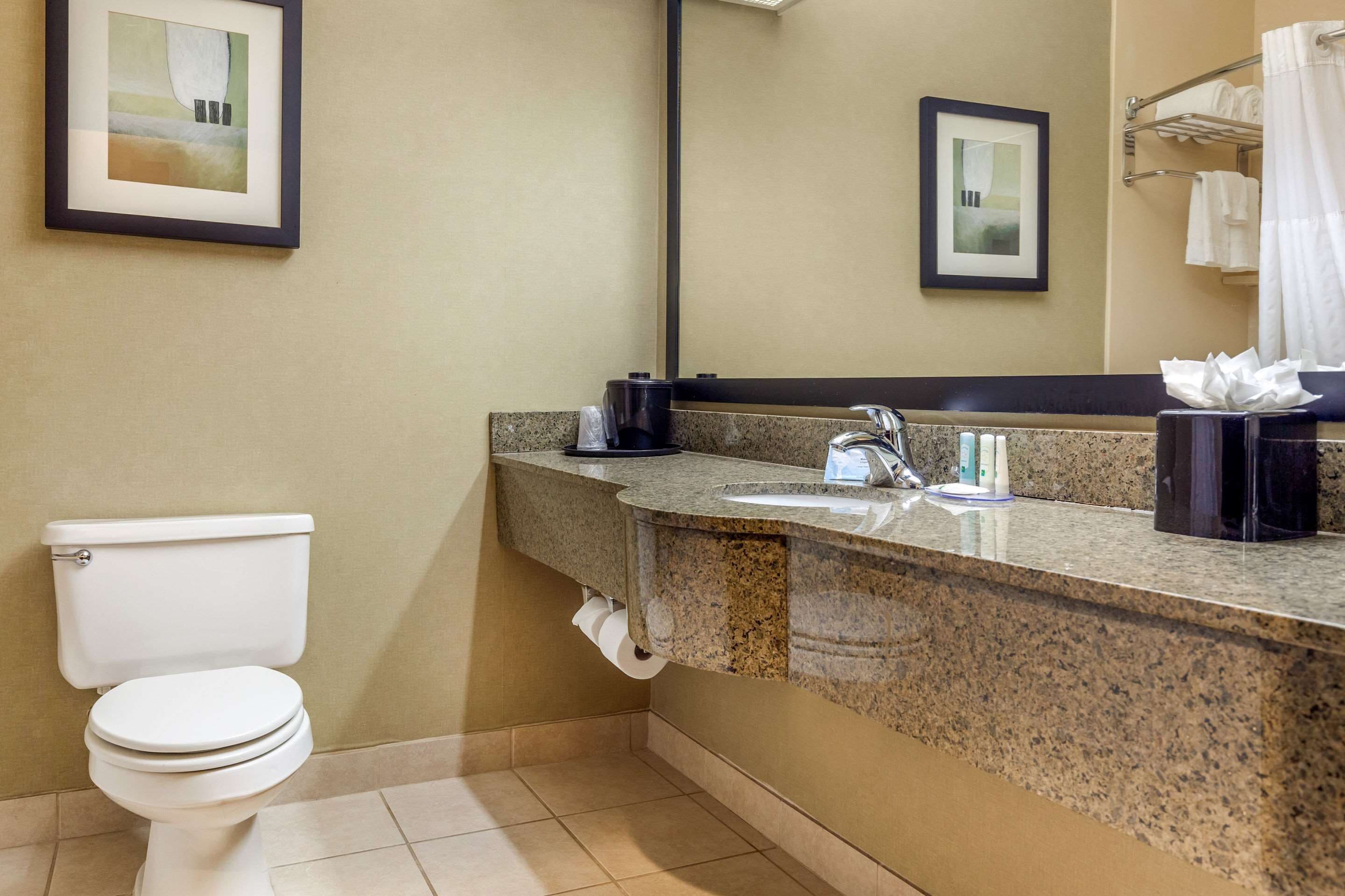 Suite, 1 King Bed, Non Smoking | Bathroom