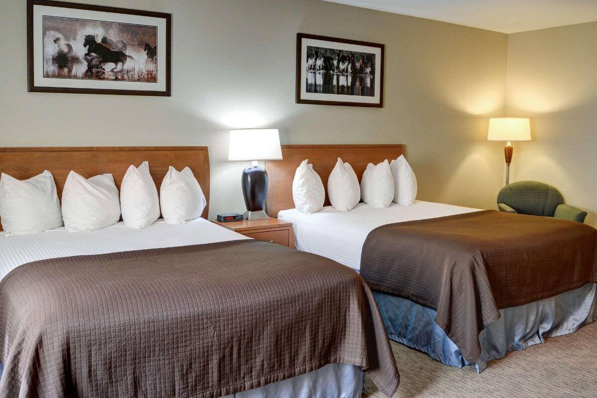 A hotel room with two beds, a nightstand with a lamp, a chair, and two framed pictures on the wall.
