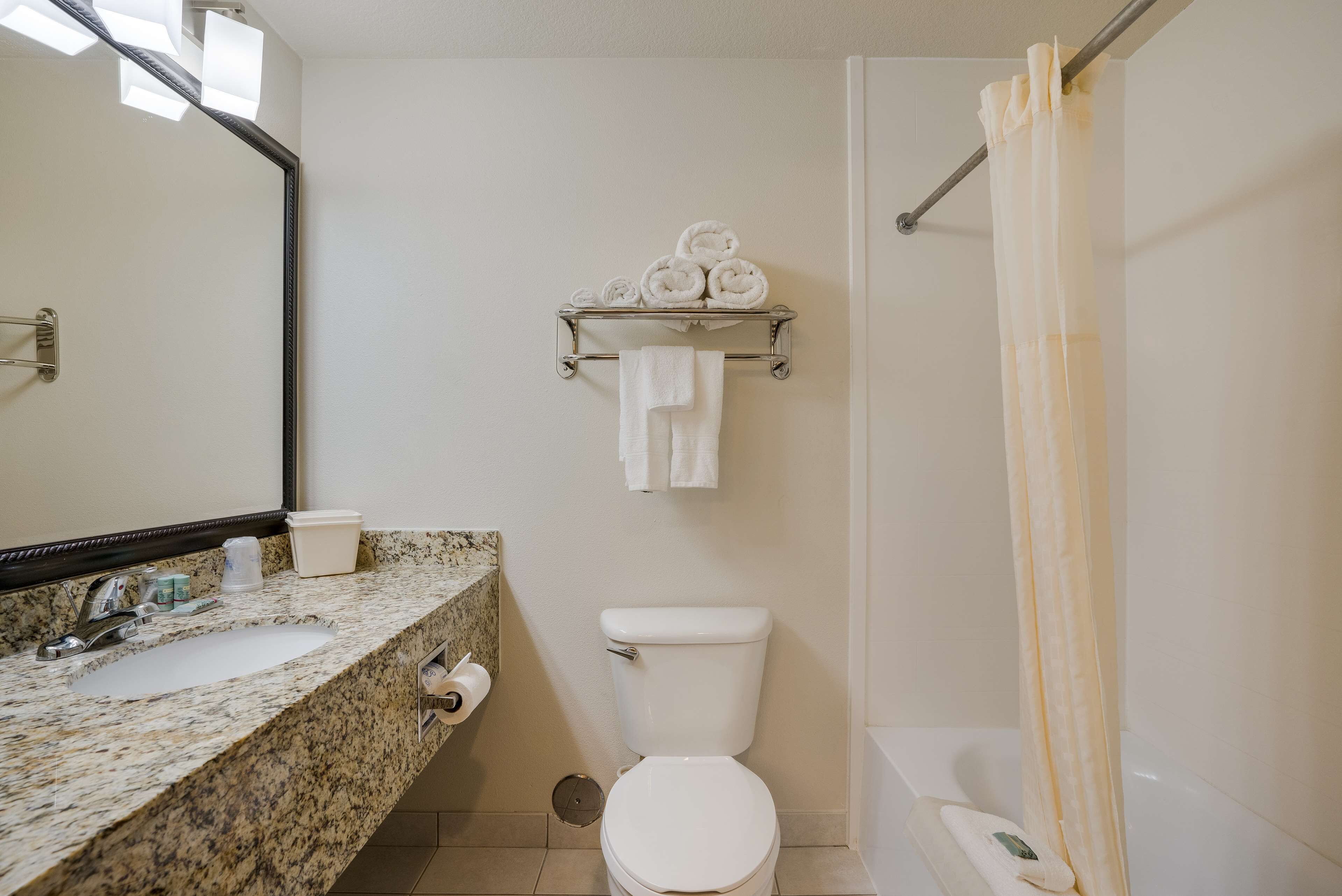 suite, 1 king bed, non smoking, jetted tub | bathroom | free toiletries, hair dryer, towels