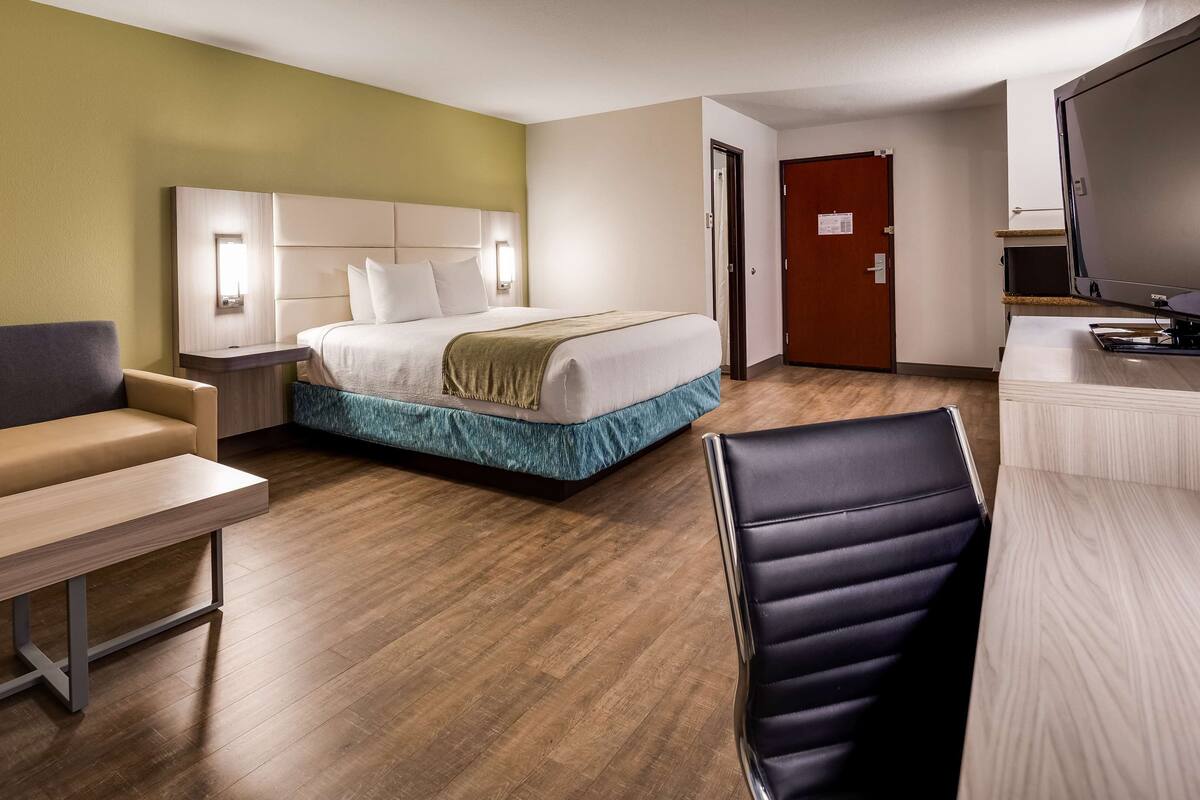 A hotel room with a bed, a sofa, a desk, and a chair.