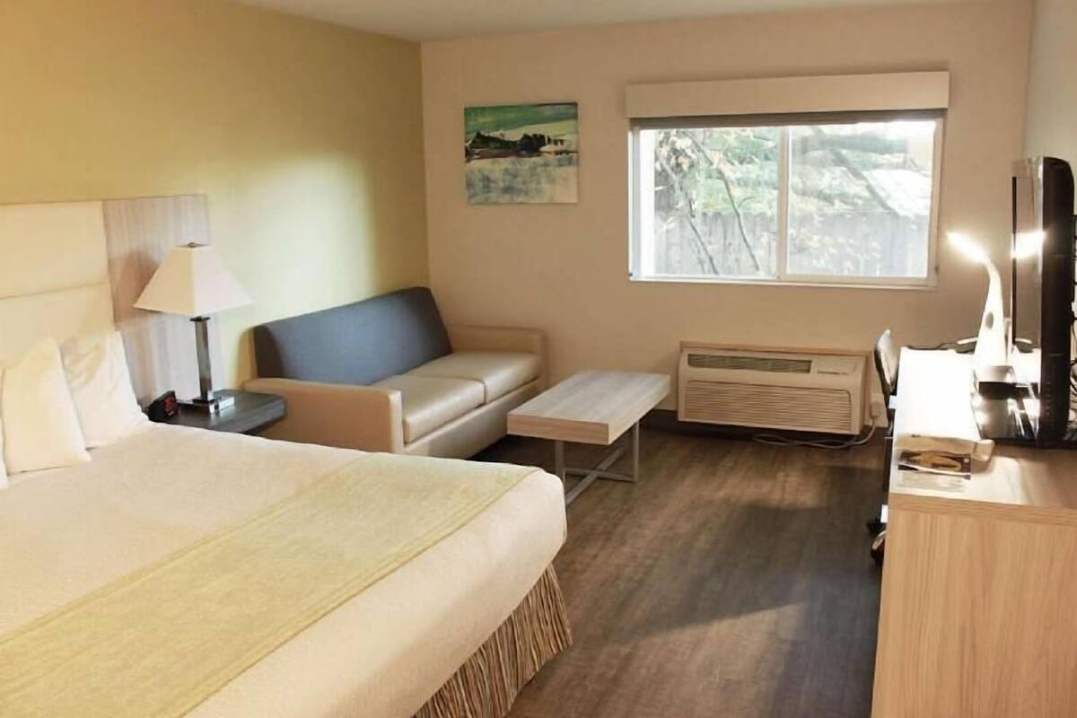 A hotel room with a bed, a sofa, a small table, a desk, a lamp, a heater, a TV, and a window with a view.