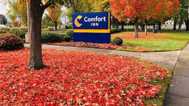 Señal de Comfort Inn rodeada de hojas otoñales.