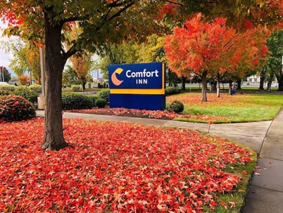 Comfort Inn South