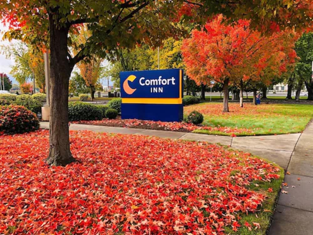 Comfort Inn Medford South photo 8