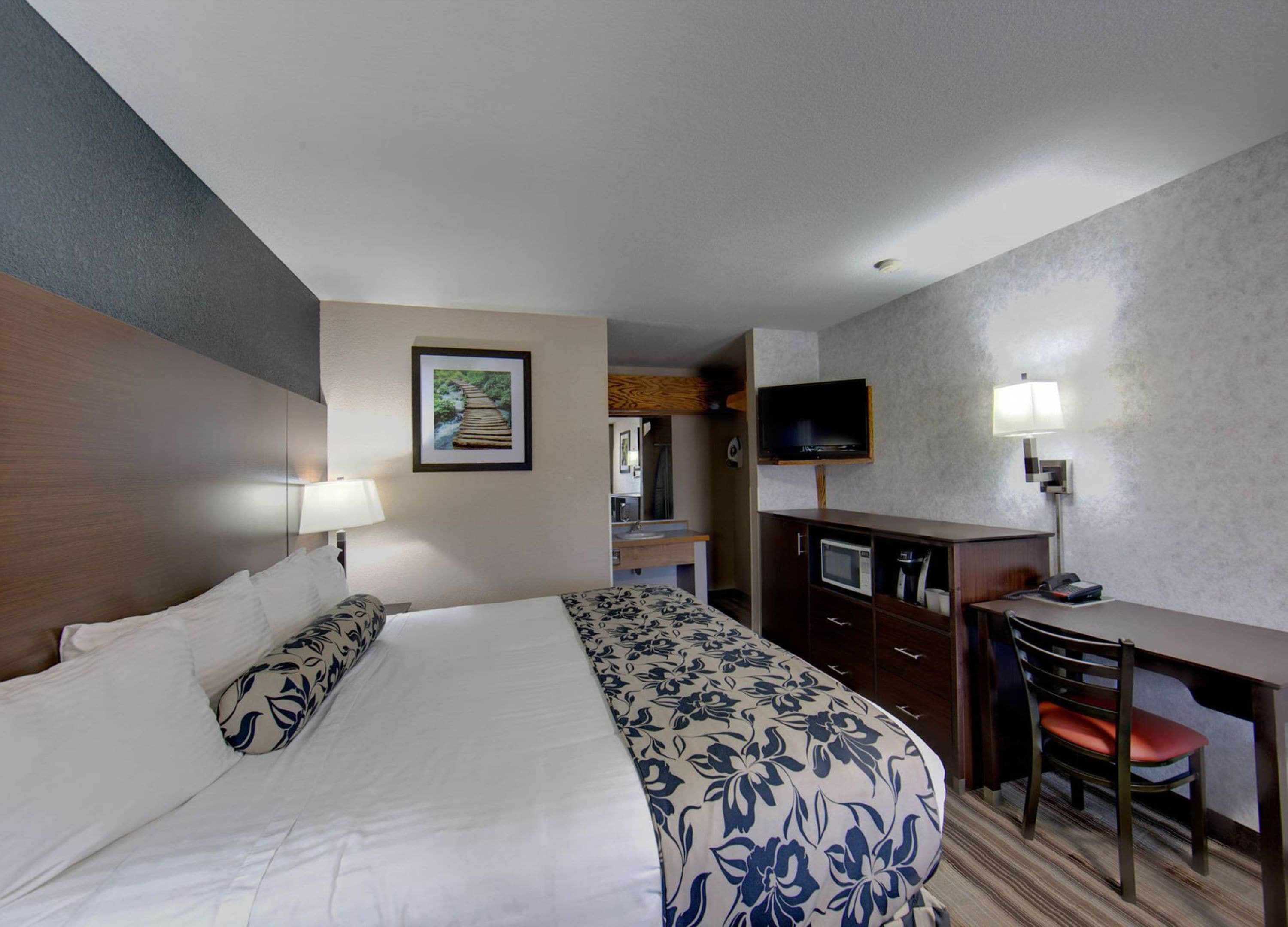 Una habitación de hotel con una cama, un escritorio, un televisor y una lámpara.