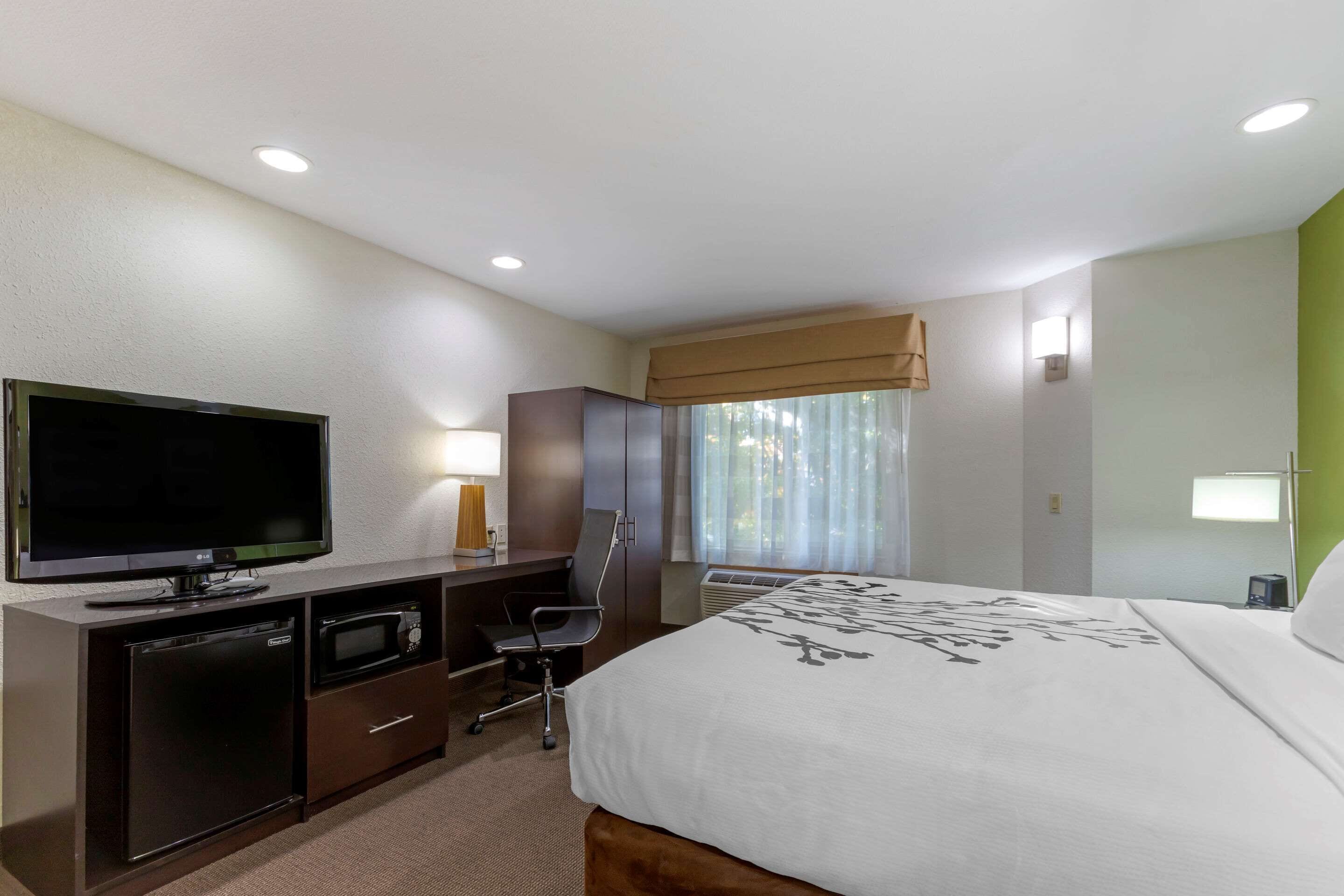 standard room, 1 king bed, non smoking | desk, iron/ironing board, free cots/infant beds, rollaway beds