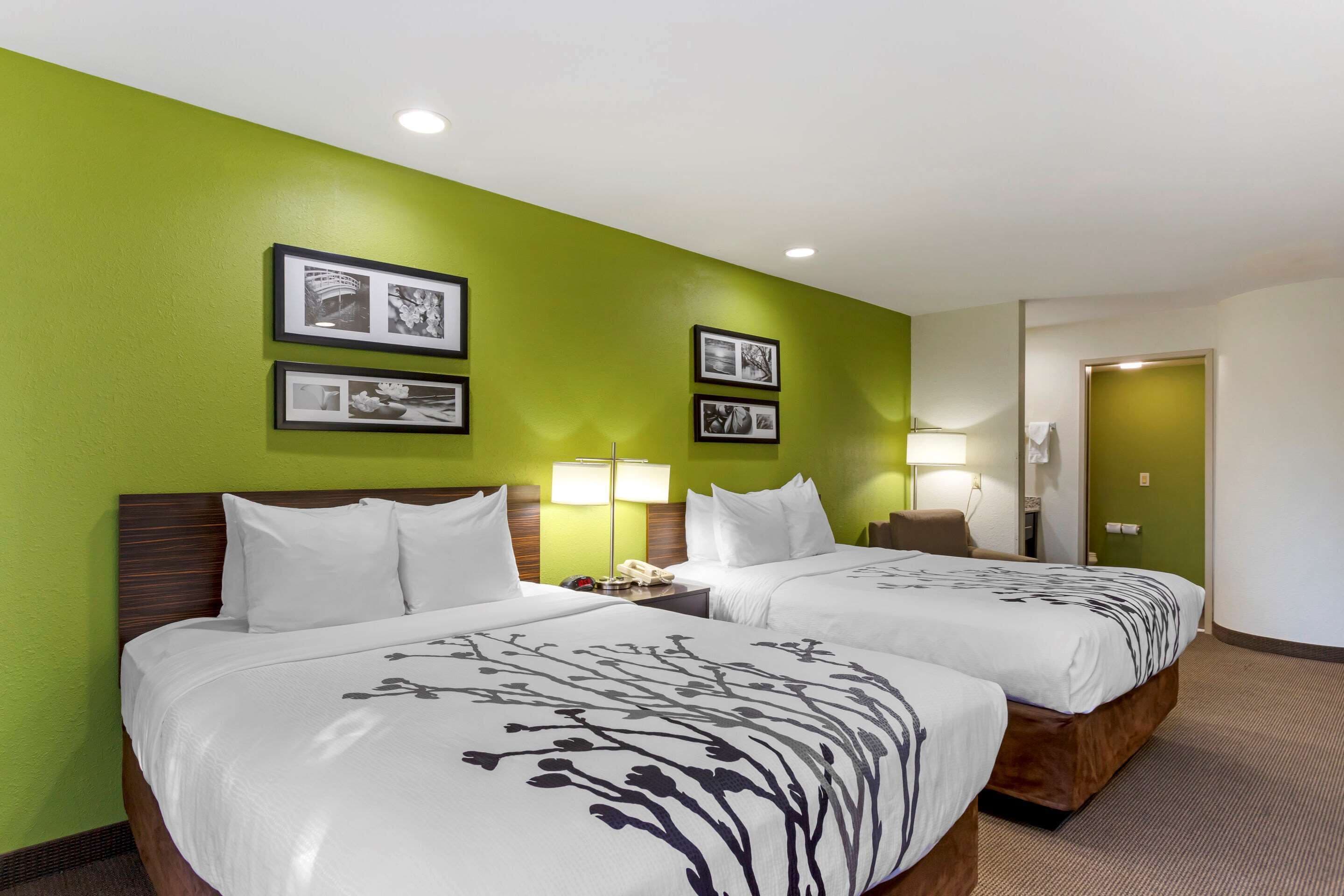 Standard Room, 2 Queen Beds, Non Smoking | Desk, iron/ironing board, free cribs/infant beds, rollaway beds