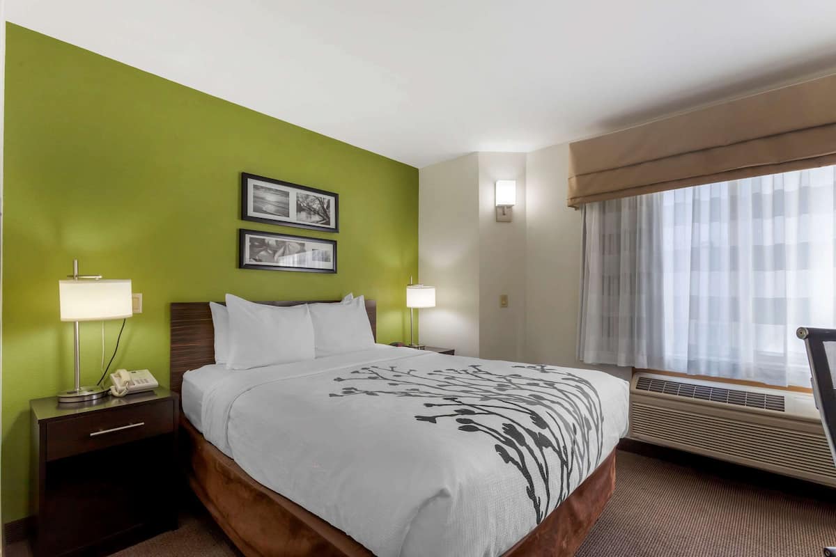 A hotel room with a bed, bedside lamps, a nightstand, a wall-mounted phone, and a window with curtains.