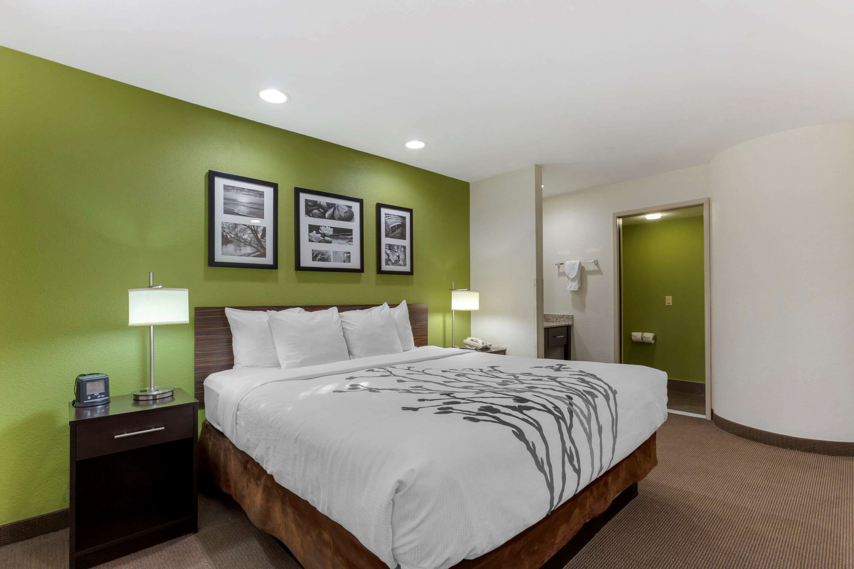 standard room, 1 king bed, non smoking | desk, iron/ironing board, free cots/infant beds, rollaway beds