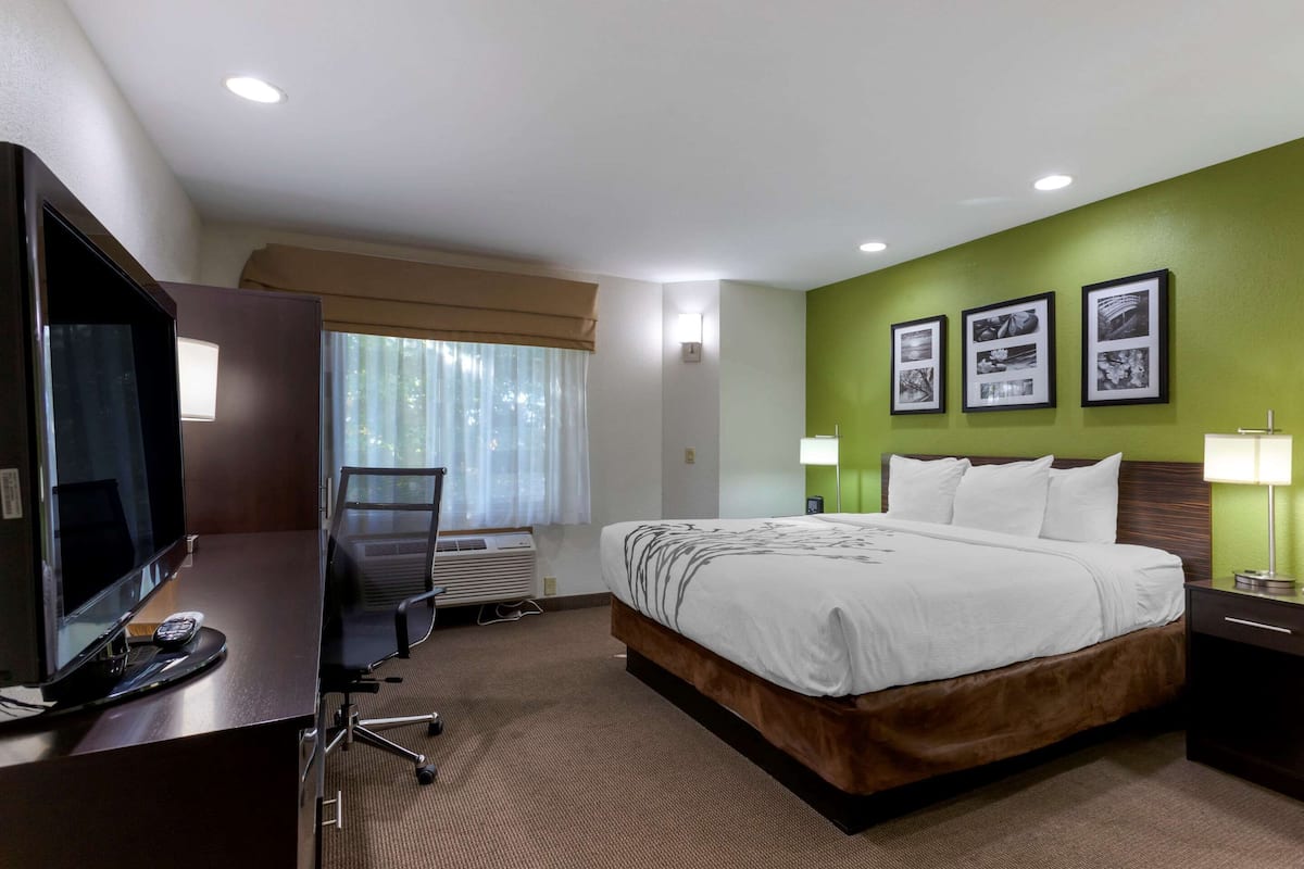 A hotel room with a bed, desk, TV, and a window with curtains.