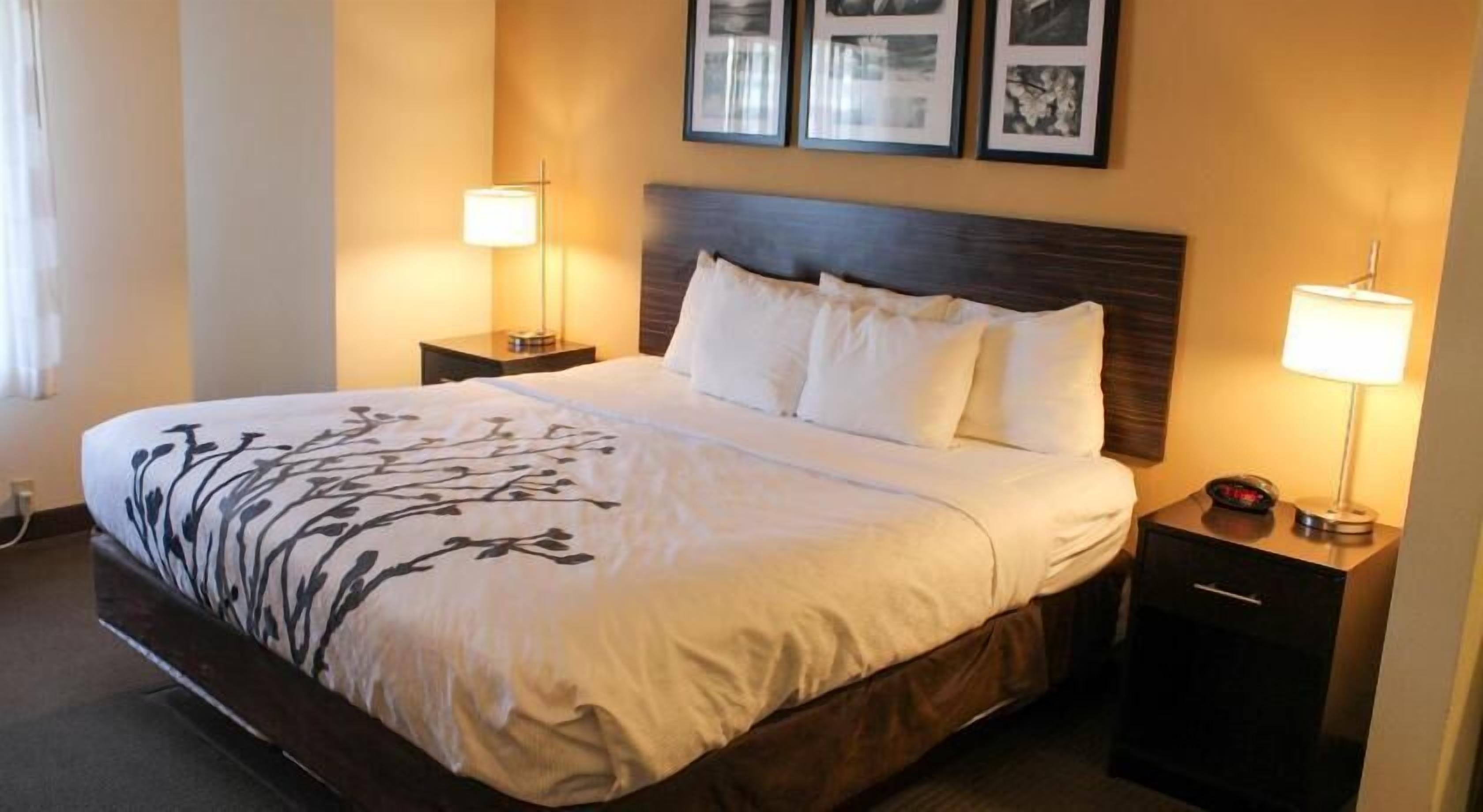 Down comforters, desk, laptop workspace, blackout drapes