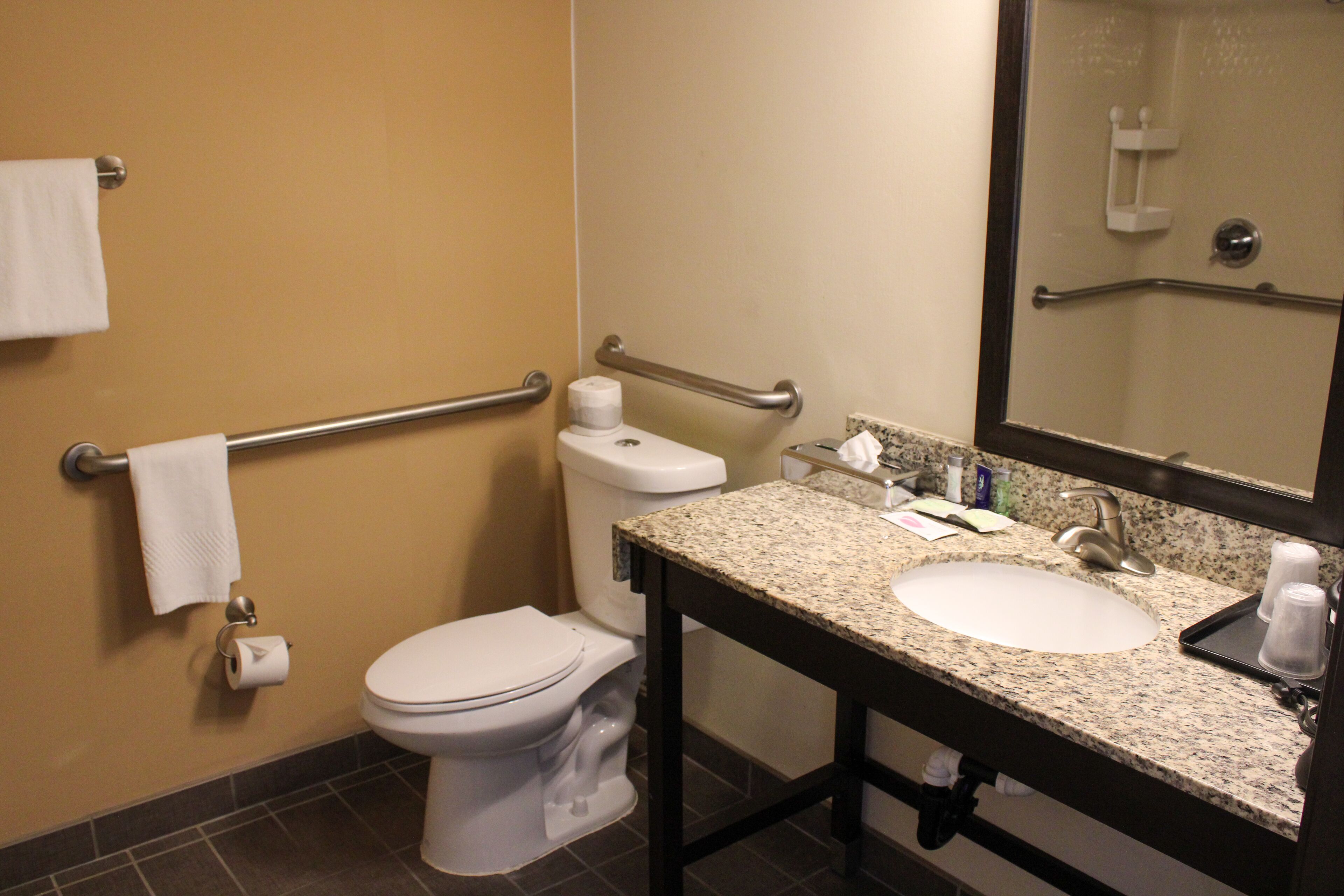 room, 1 king bed, accessible, non smoking (efficiency) | bathroom | free toiletries, hair dryer, towels