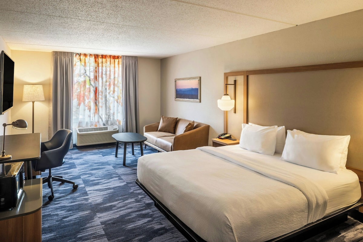 Room, 1 King Bed