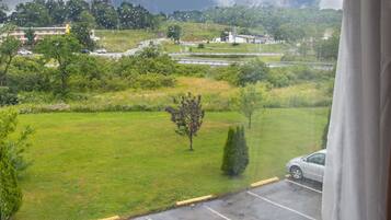 Standard Room, 1 King Bed, Accessible, Non Smoking | View from room