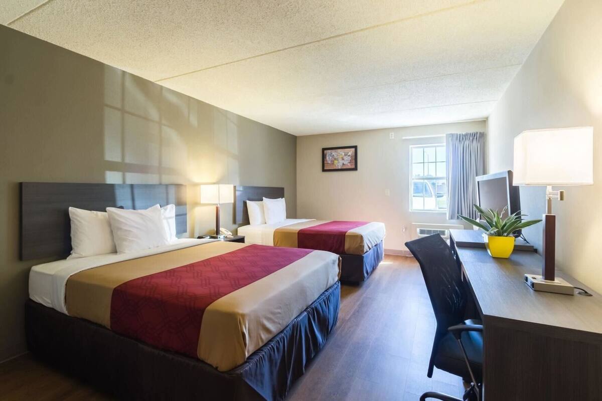 A hotel room with two beds, a desk, a chair, a TV, a plant, and a window.