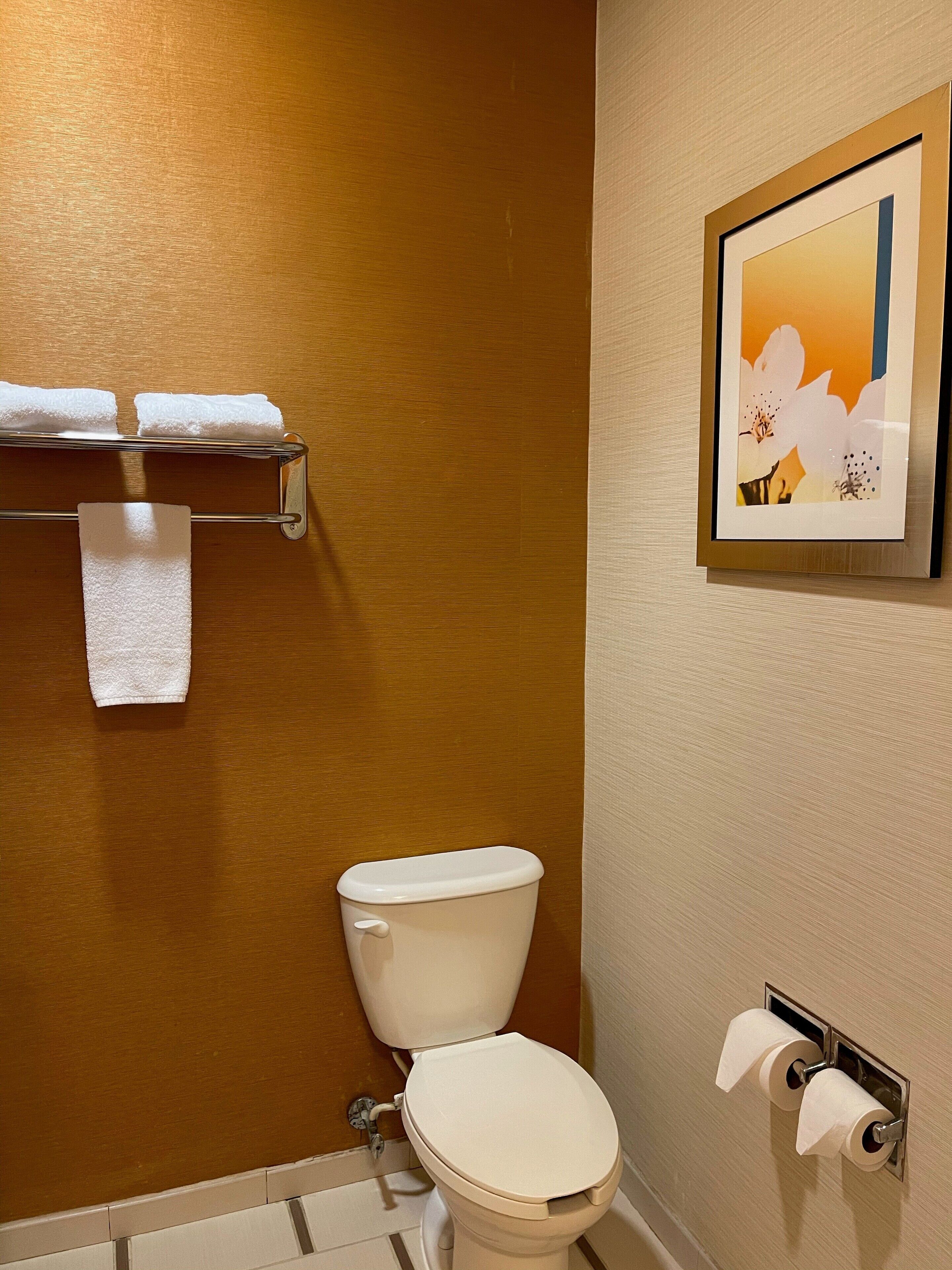 A bathroom with a toilet, a towel rack with two towels, and a framed picture on the wall.