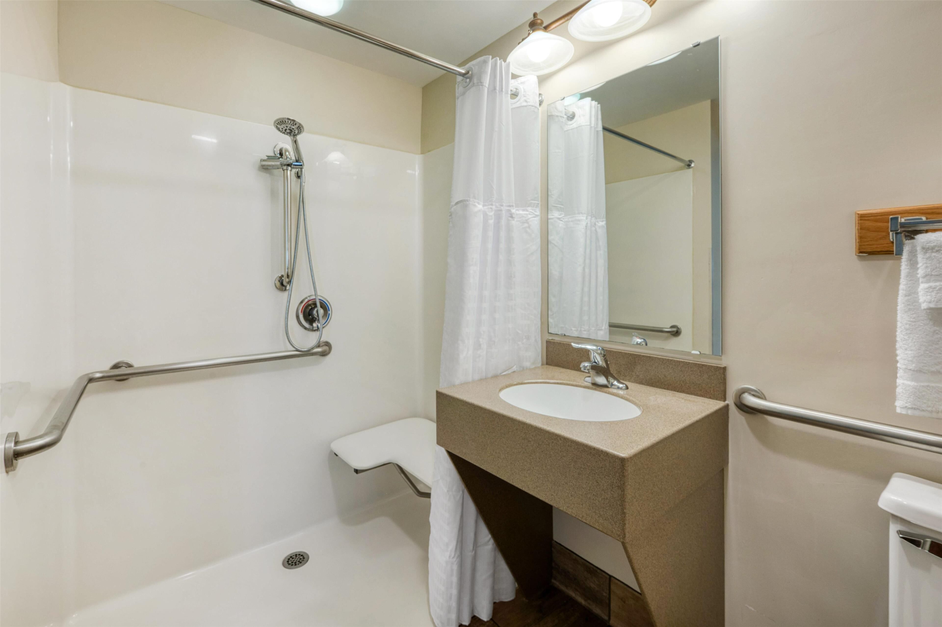 A bathroom with a shower, a sink, a mirror, and a toilet.