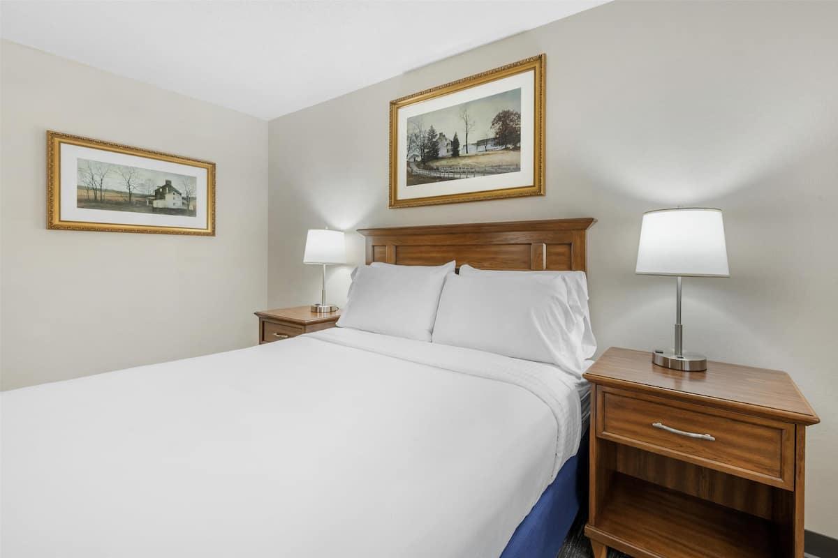 Standard Room, 1 Queen Bed, Accessible, Refrigerator & Microwave