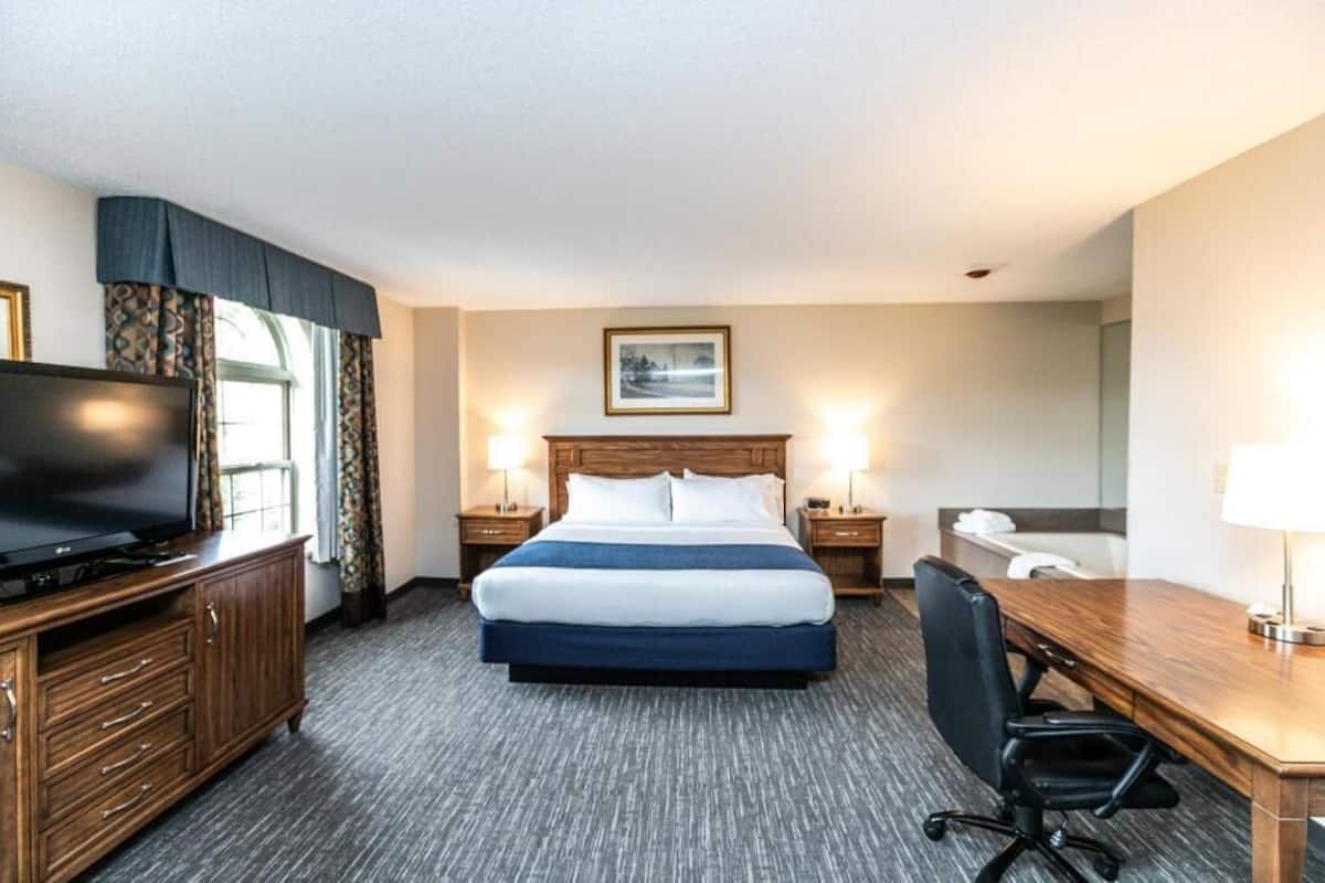 Une chambre d’hôtel avec un lit, un bureau, une chaise, une télévision et un tableau au mur.