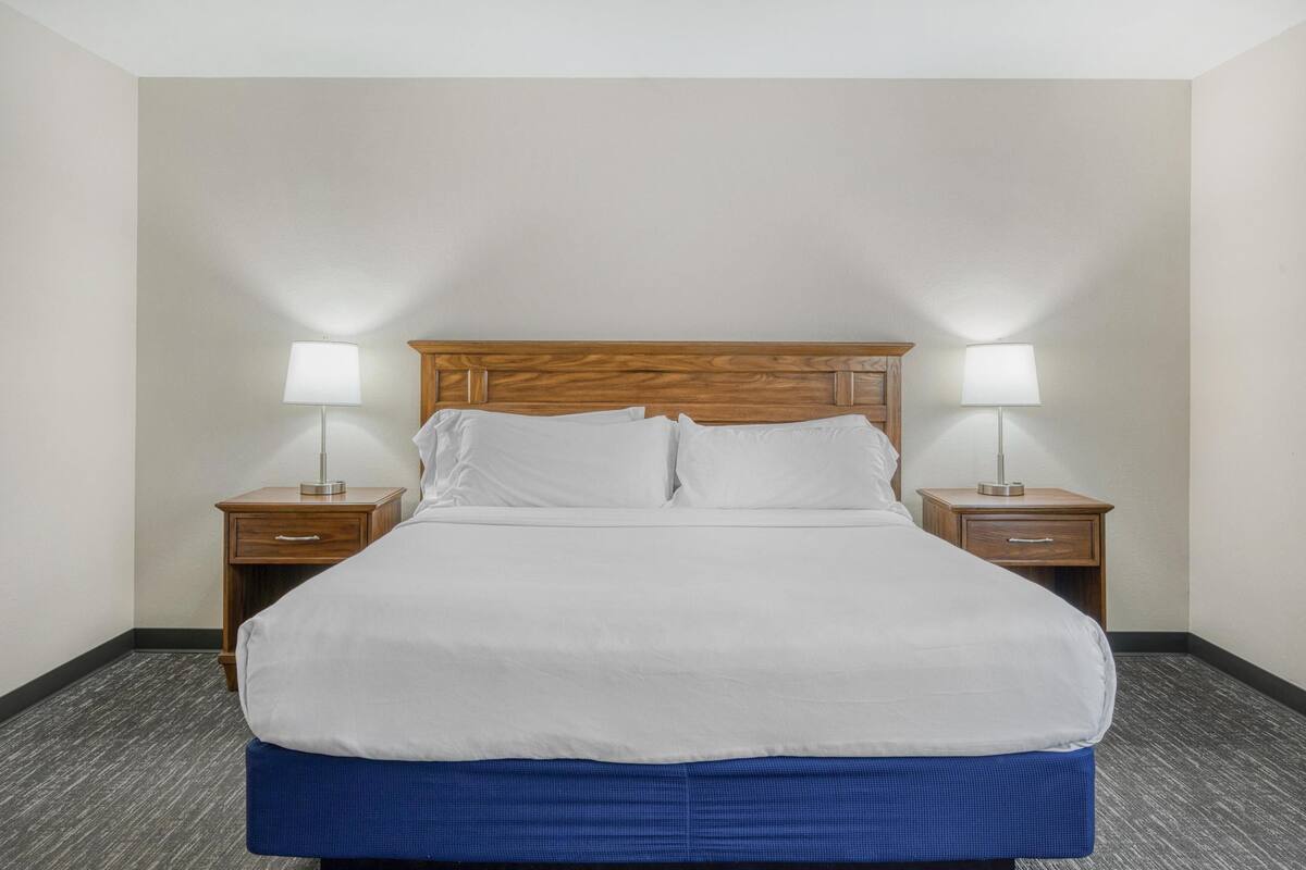 Une chambre d’hôtel avec un grand lit, deux tables de chevet avec des lampes et un sol recouvert de moquette.
