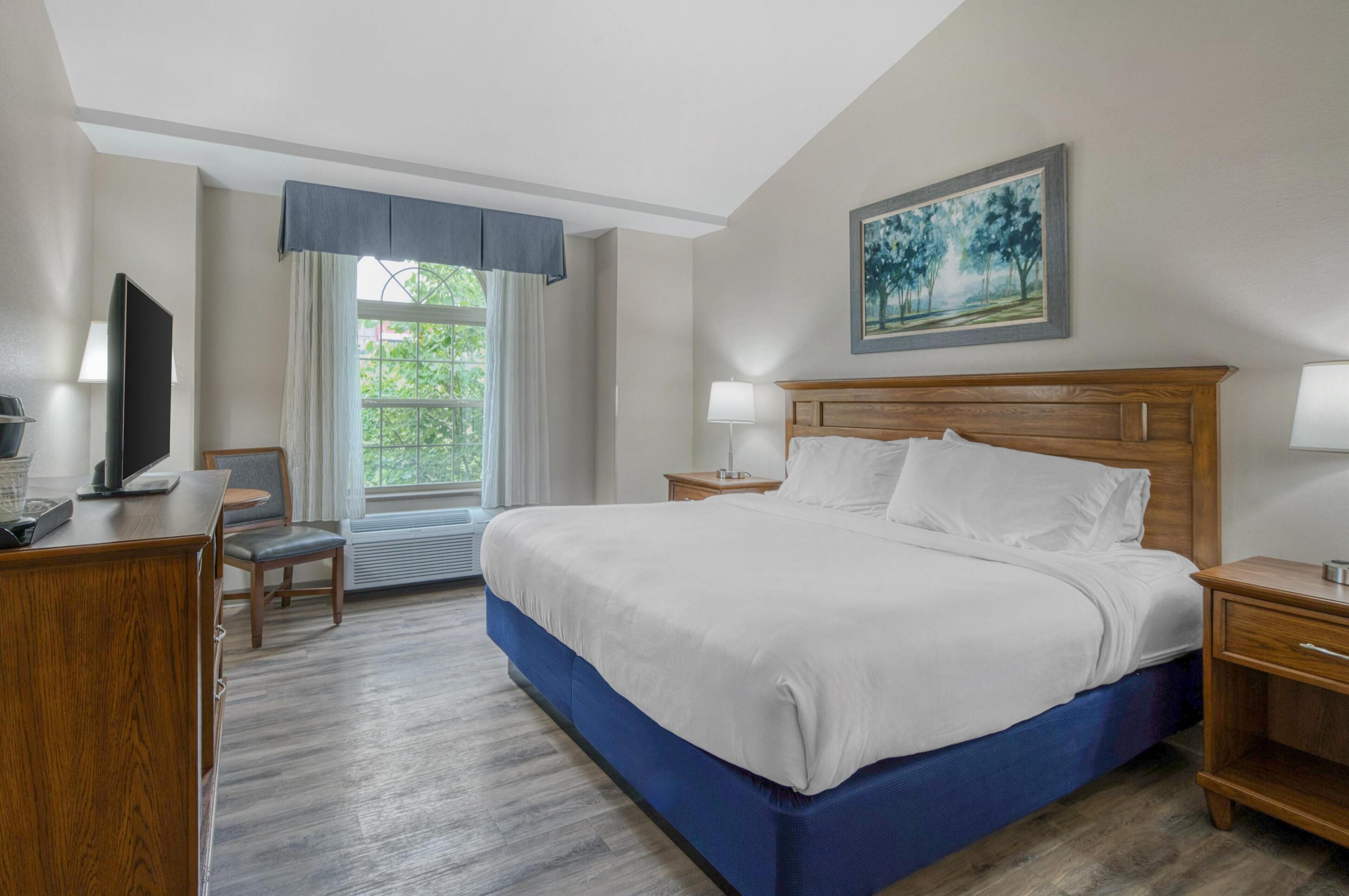 suite, 1 king bed, non smoking, refrigerator (queen murphy bed only with sofabed) | laptop workspace, blackout curtains, iron/ironing board, free wifi