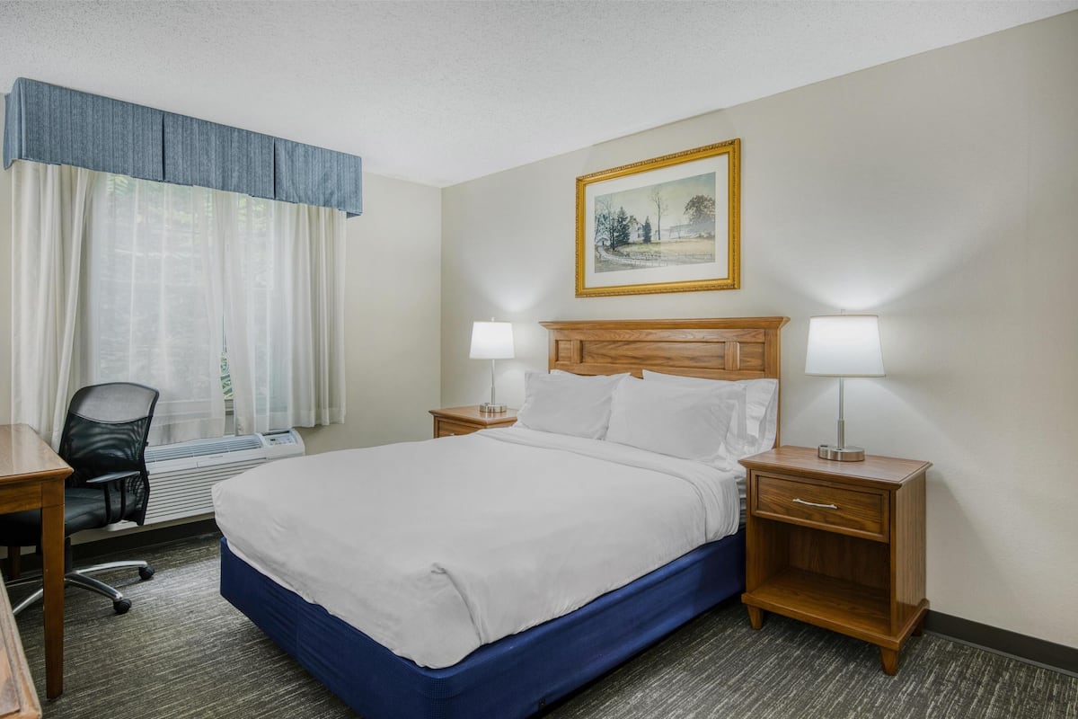 Standard Room, 1 Queen Bed, Accessible, Refrigerator & Microwave