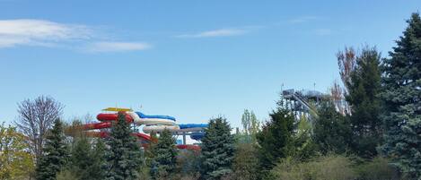 A water park with multiple water slides and a fenced area with trees.