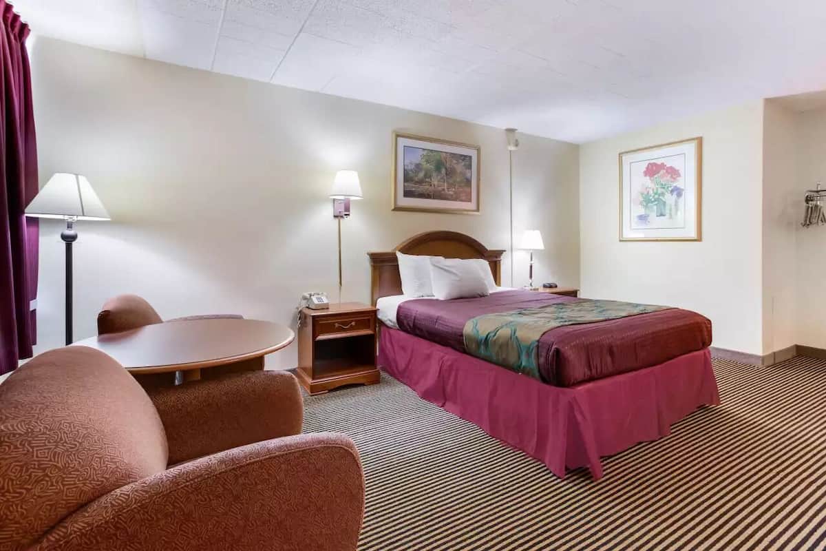 A hotel room with a bed, a desk, a chair, and a nightstand.