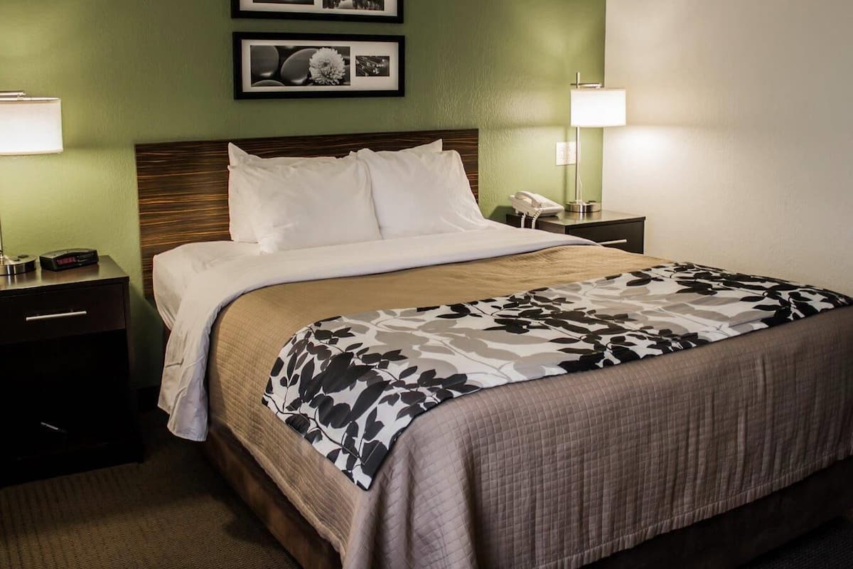 Chambre Standard, 1 grand lit, accessible aux personnes à mobilité réduite, non-fumeurs | 1 chambre, literie hypoallergénique, bureau