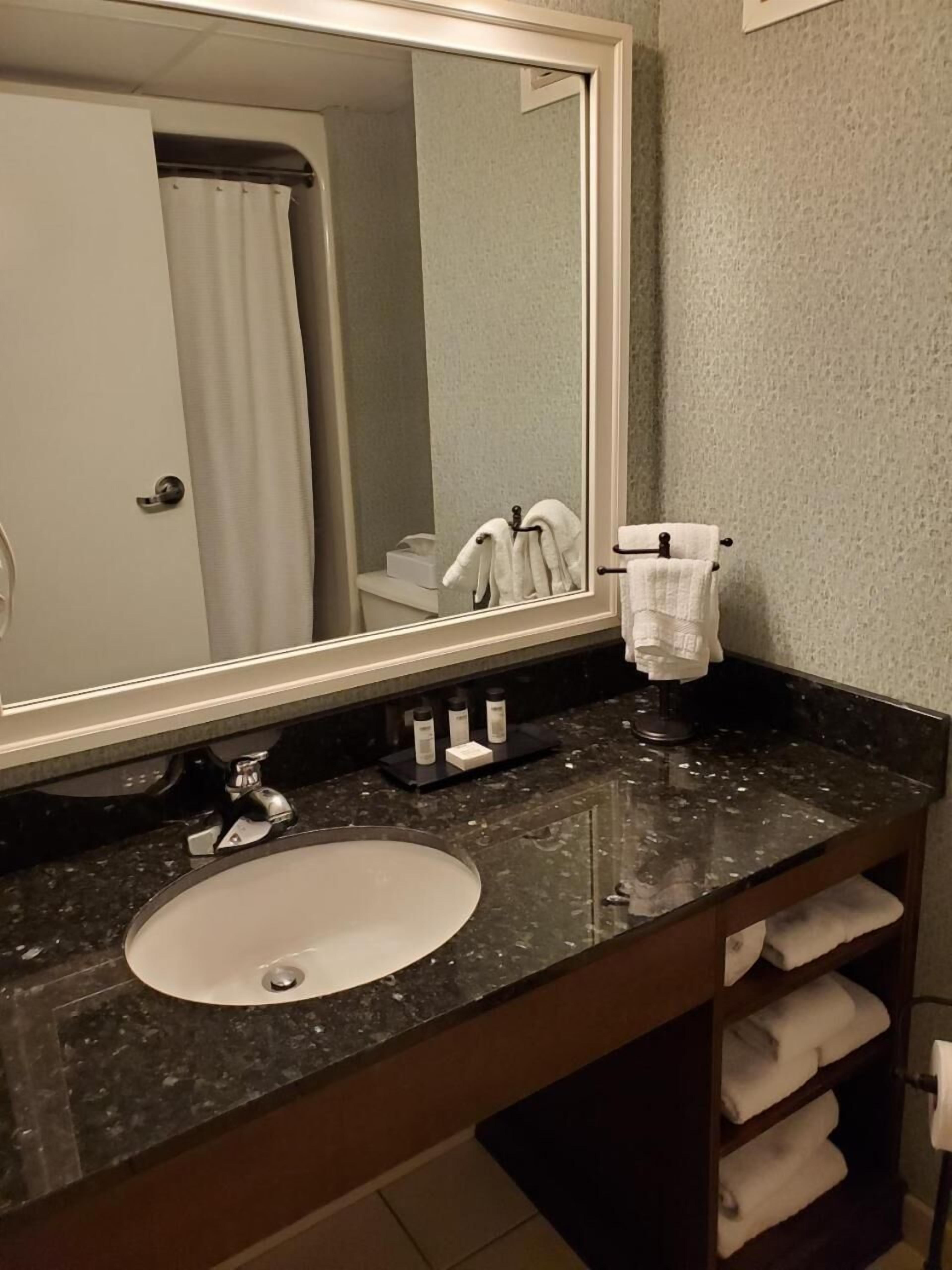 combined shower/bathtub, free toiletries, hair dryer, towels