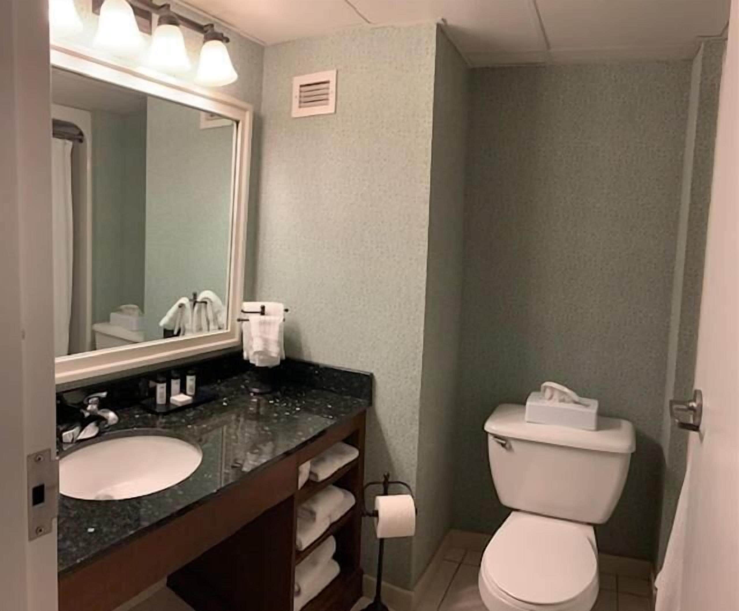 combined shower/bathtub, free toiletries, hair dryer, towels