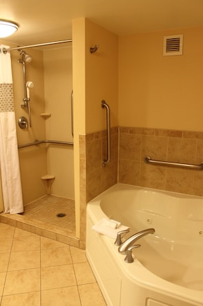 Un bagno dotato di cabina doccia, maniglie di sostegno, vasca e WC.